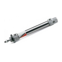Пневмоцилиндр 20x10 Camozzi 24N2A20A010