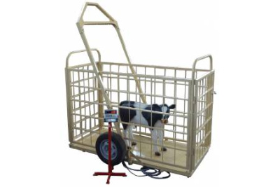 Эльтон-1500 1100х2500 автоприцеп - Весы для взвешивания животных